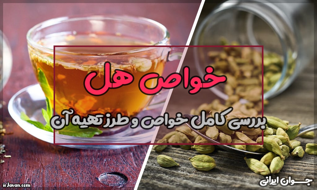 خواص هل سبز + هل سیاه: طرز تهیه و مصرف آن - جوان ایرانی