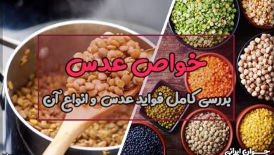 فواید عدس