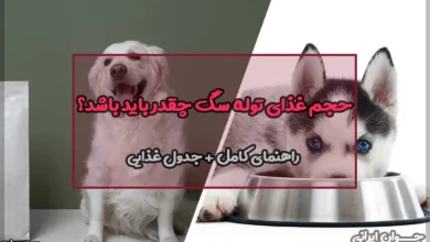 حجم غذای توله سگ چقدر باید باشد ؟ راهنمای کامل + جدول غذایی