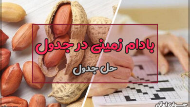 بادام زمینی در جدول