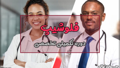فلوشیپ یعنی چه؟