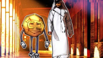 احتمال ممنوعیت پرداخت‌های ارز دیجیتال در امارات متحده عربی