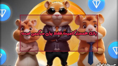 بازی همستر کامبت فقط برای سرگرمی است