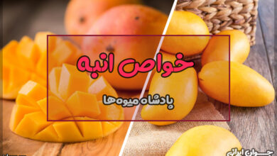 خواص انبه چیست؟
