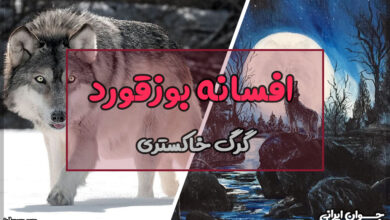 بوزقورد چیست؟