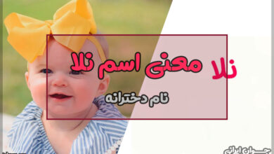معنی اسم نلا