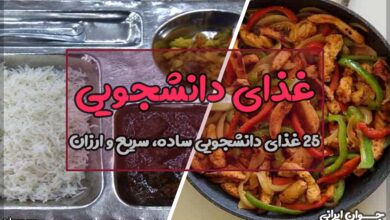 غذای دانشجویی