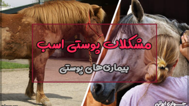 مشکلات پوستی اسب