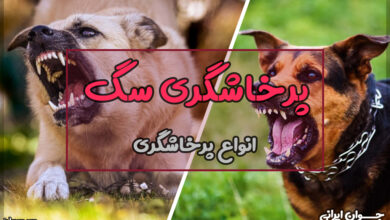 دلایل پرخاشگری سگ
