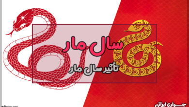 سال مار چگونه سالی است؟