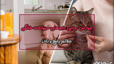 عوارض جانبی داروهای حیوانات خانگی