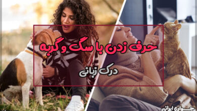 حرف زدن با سگ و گربه