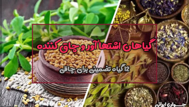 گیاهان اشتها آور و چاق کننده