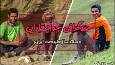 جواد قارایی
