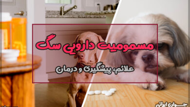مسمومیت دارویی سگ