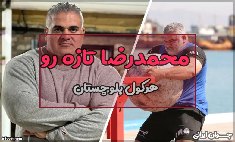 بیوگرافی محمدرضا تازه رو
