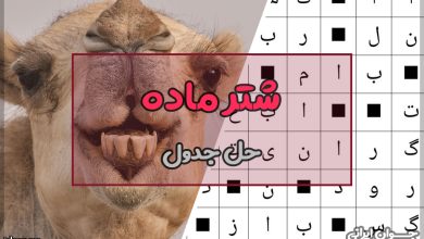 شتر ماده در جدول