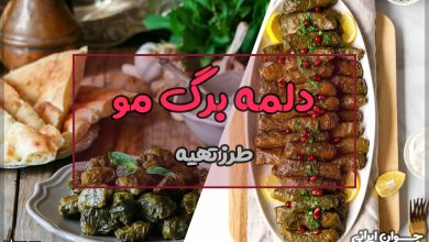 طرز تهیه دلمه برگ مو