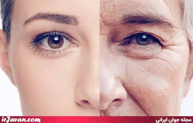 فرق کلاژن و الاستین