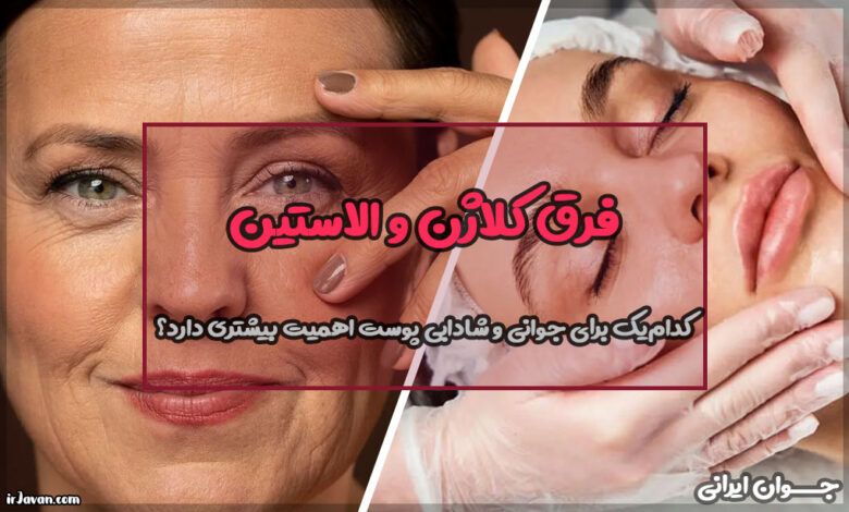 فرق کلاژن و الاستین