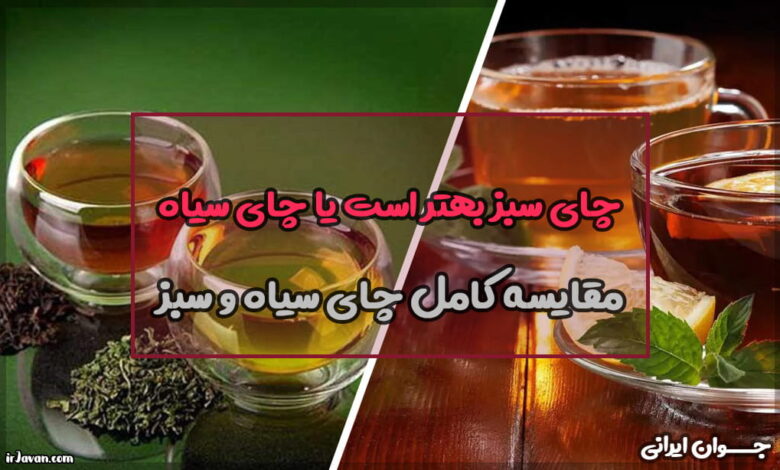 چای سبز بهتر است یا چای سیاه؟ مقایسه کامل آن‌ها