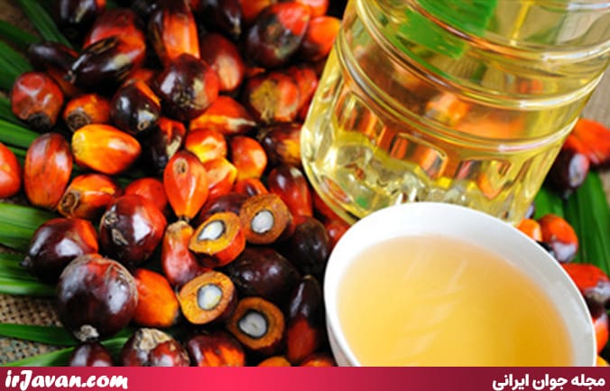 خواص روغن هسته خرما برای موهای مجعد (بهترین زمان استفاده)