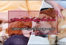 ماساژ سگ برای کاهش اضطراب