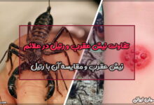 تفاوت نیش عقرب و رتیل در علائم