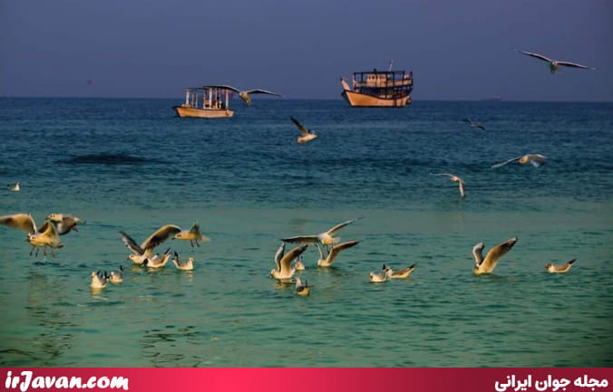 راهنمای سفر اقتصادی به کیش (تجربه‌ای لوکس و ارزان)