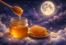 تعبیر خواب عسل
