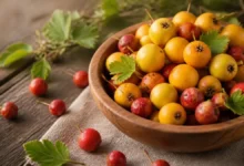 زالزالک زرد و قرمز تازه در کاسه چوبی