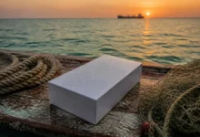 ماجرای آیفون دریایی