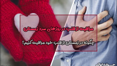 مراقبت از قلب در روزهای سرد زمستان (علائم خطر و روش‌های پیشگیری)